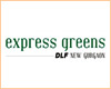 Manufacturers Exporters and Wholesale Suppliers of Express Greens Delhi Delhi